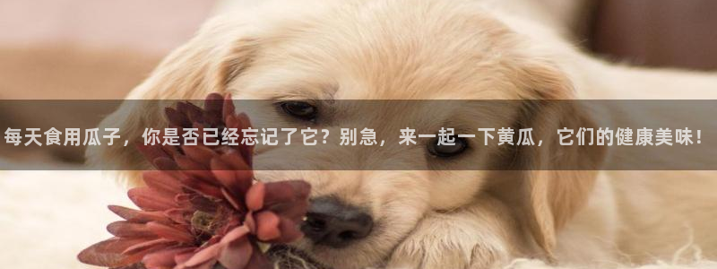 明星黑料信息汇总