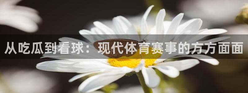 热门黑料真伪核验