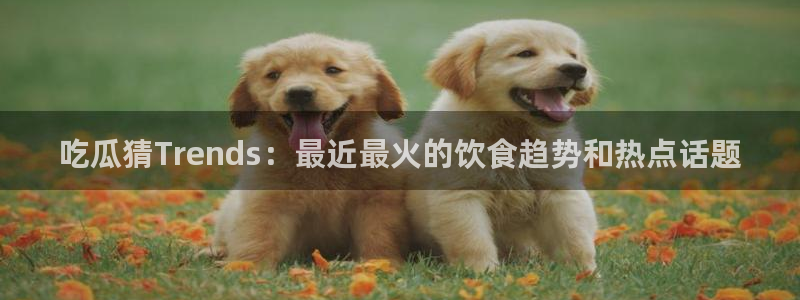 黑料爆料完整时间线