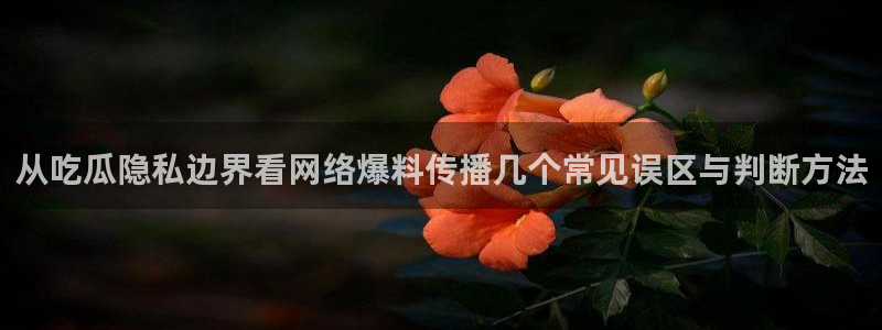 网红黑料