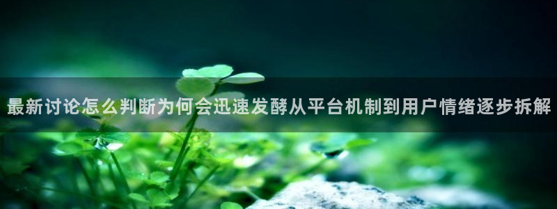 黑料吃瓜当事人回应