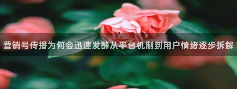 黑料吃瓜真伪核验