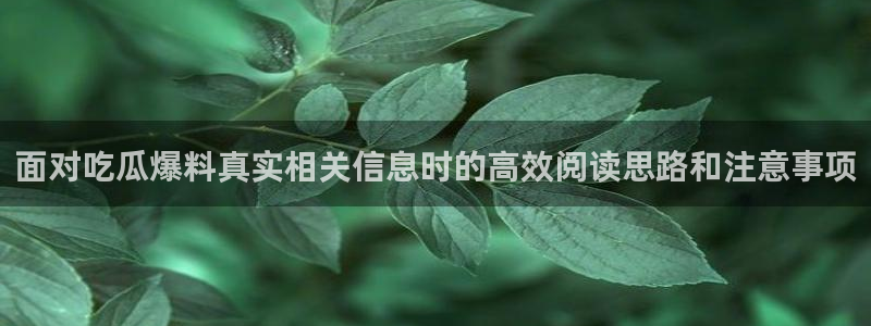 网络黑料完整时间线