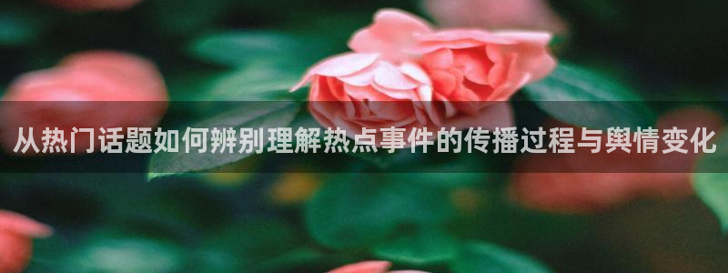 独家黑料证据梳理
