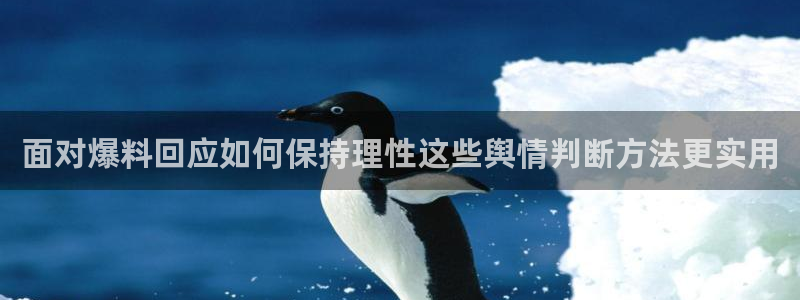 黑料爆料证据梳理