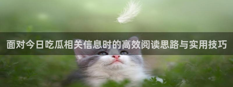 娱乐黑料后续进展