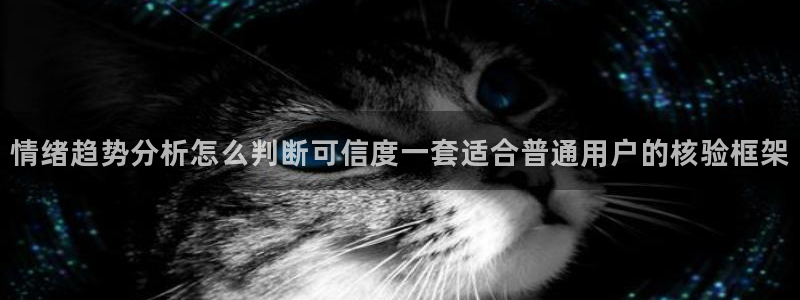 娱乐黑料后续进展